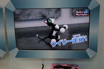 ǿ񤬰Ʋ˽ä㥷硼2017ݡ