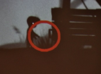 ɤѥΥǥϡͥ줿硼Ʊ¤GIC2017줿ѥǥ