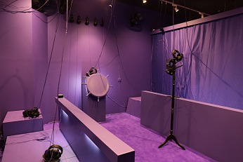 Vive ProѤδVRȥ饯FLACTUSפȤ