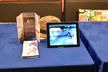 ݿĤĤ⥤ǥʤϸBitSummit Vol.6פβ