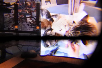ѤϺǶOculus GoϥХVRڤ뤫