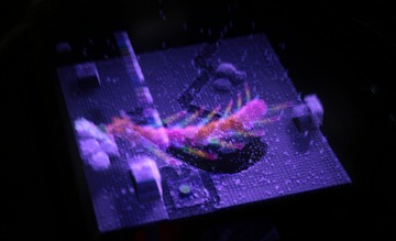 TGS 2018ΩΥǥץ쥤αϤɤǤΤVR180Ǹµ