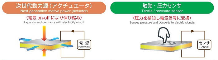 Emerging Technologiesݡȡ餫ư̤οưǽȤʤꡤϤǽʳ׿Ūʿưǻҡe-RubberפȤ