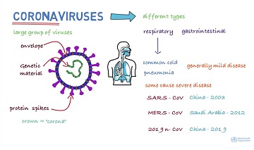 【月間総括】消えたNintendo Switch。第3四半期決算と気になる新型肺炎について