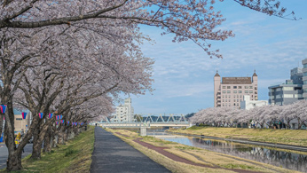 �ֳ������24Frame�����˽Ϫ�������16�󡧥�åɡ��ǥåɡ��ץ쥼��ơ������